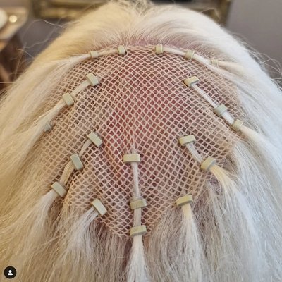 Mesh Integration Hair Loss Course